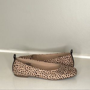 Tan Flats with Black Polkadots, Universal Thread